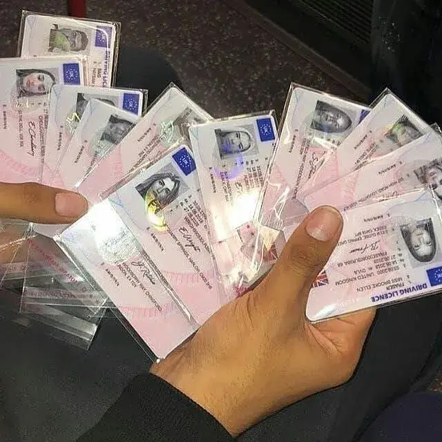 driverslicenseforeurope.com